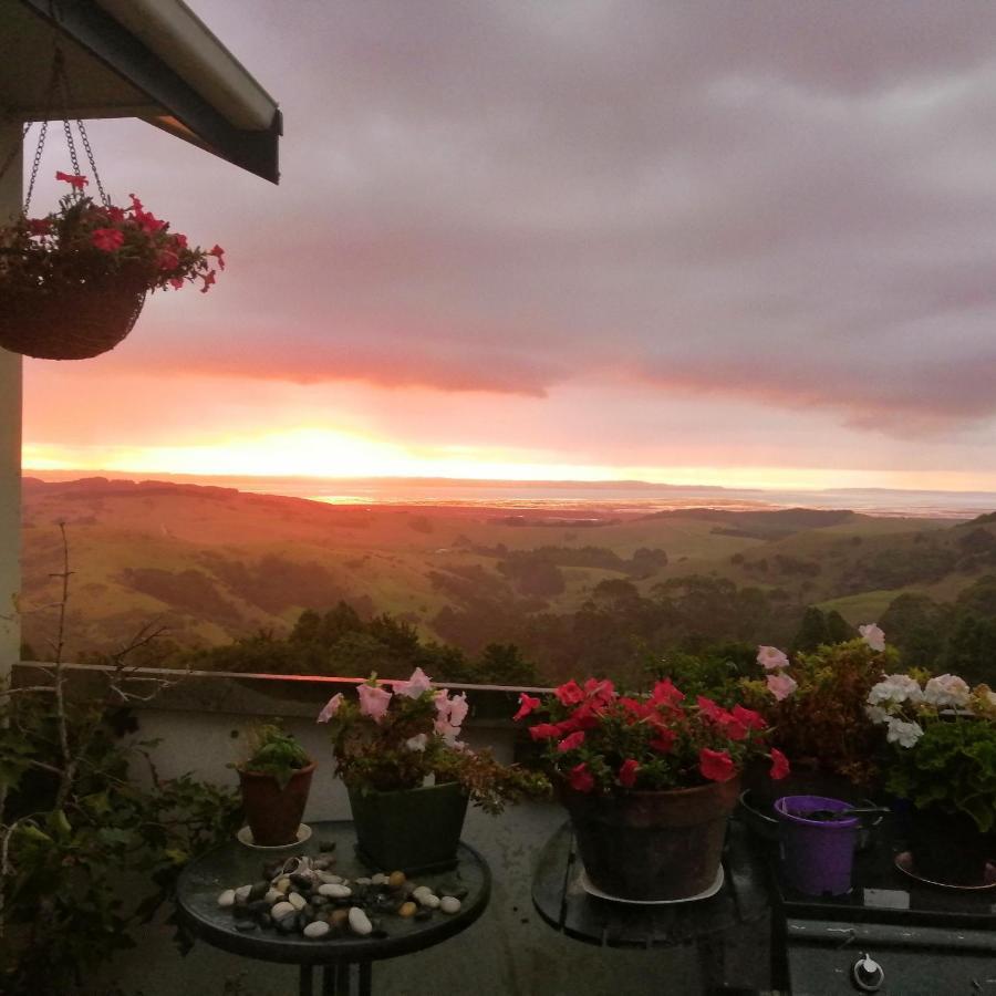 Kaipara Views Eco Lodge Glorit Luaran gambar